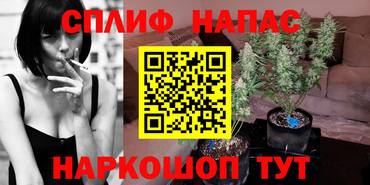 Шишки марихуана ГИДРОПОН  Каннабис Amnesia  Бошки Шишки гибрид  Улан-Удэ  Вход с VPN  Бошки Шишки VHQ 